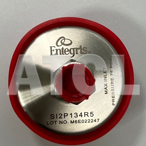 Diffuser sintered clean cmillipore