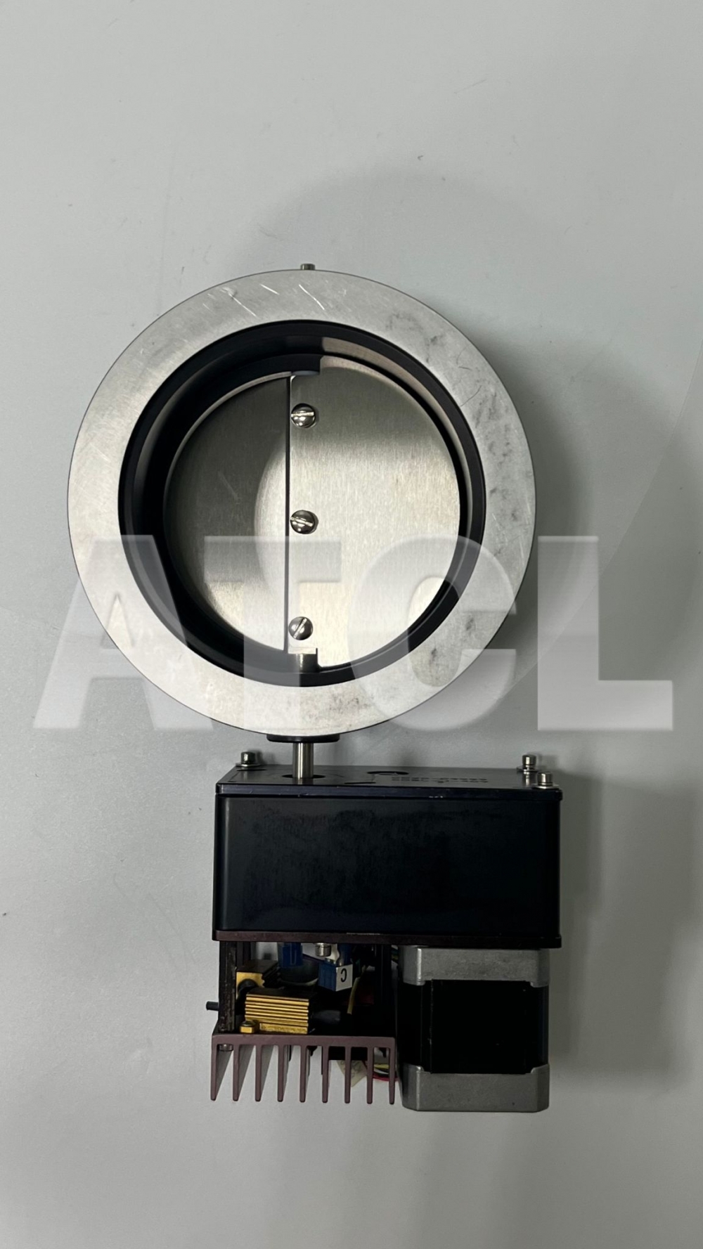 Throttle Valve