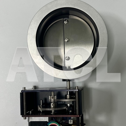 Throttle Valve
