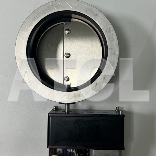 Throttle Valve