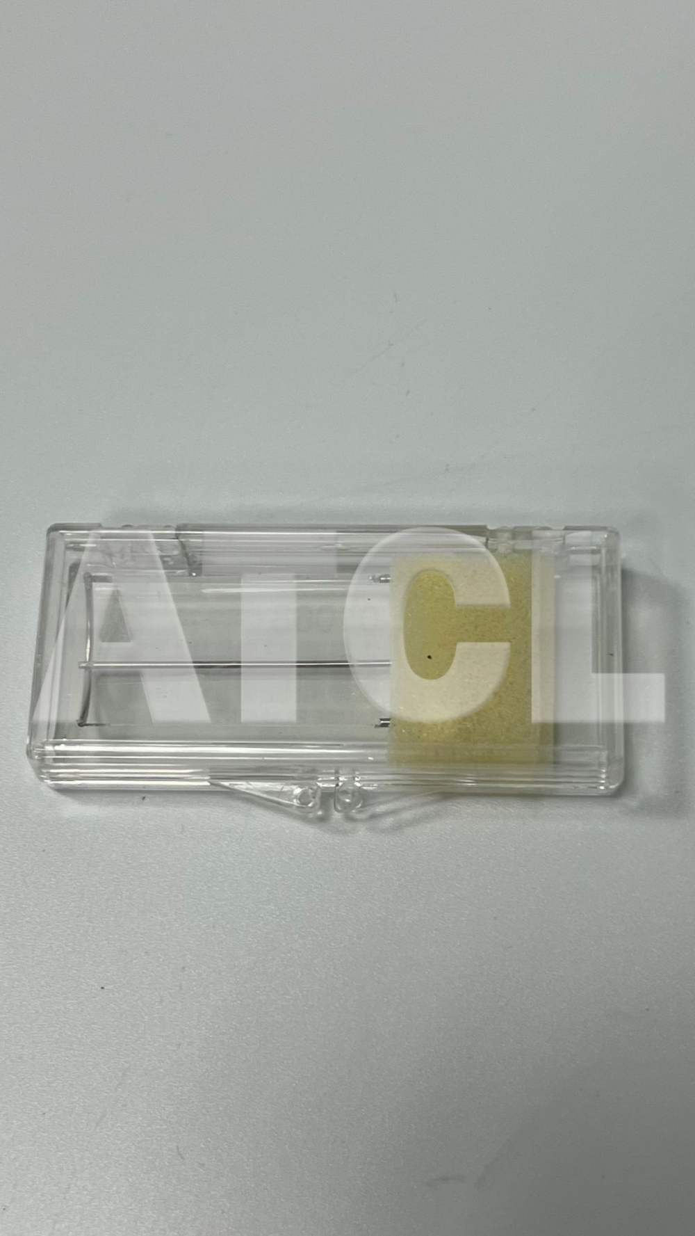 ION GAUGE FILAMENT