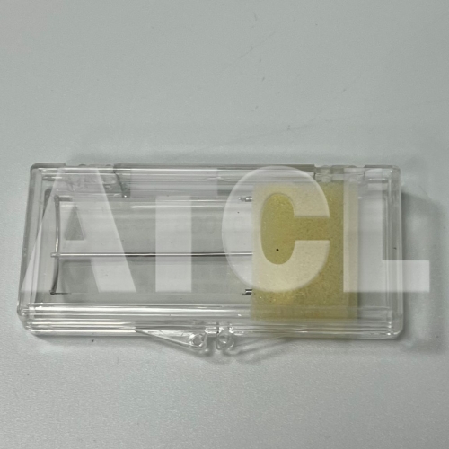 ION GAUGE FILAMENT